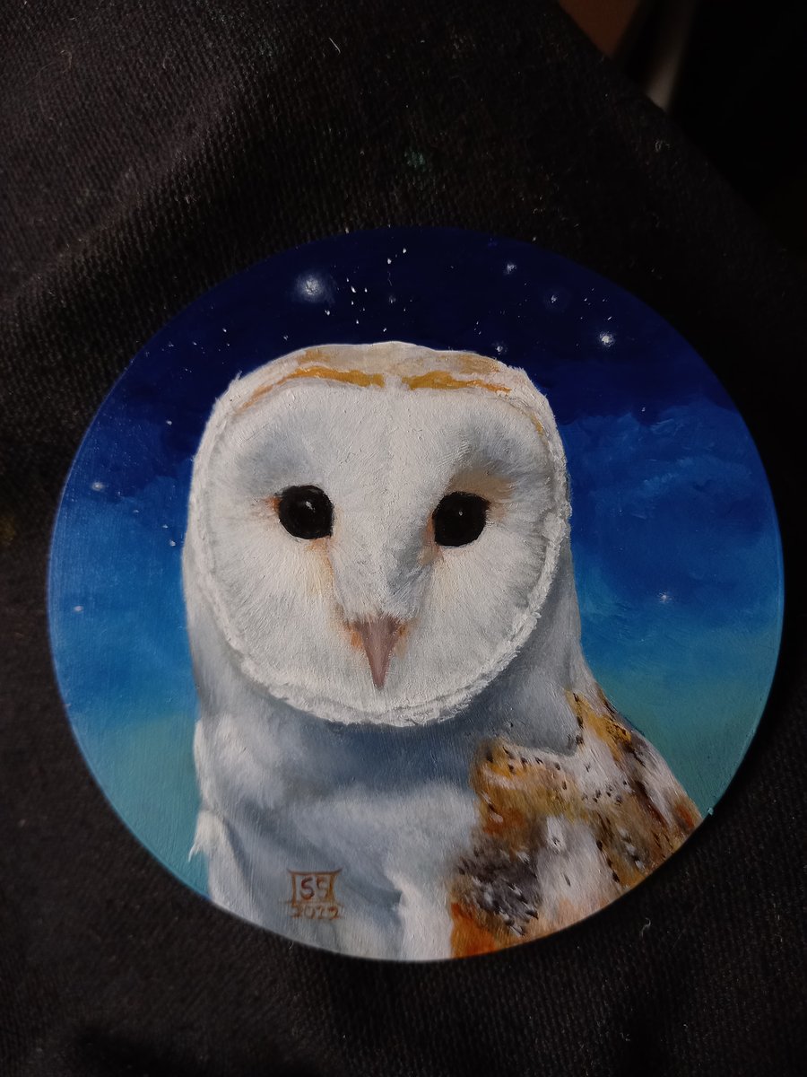Pretty barn owl round oil painting 