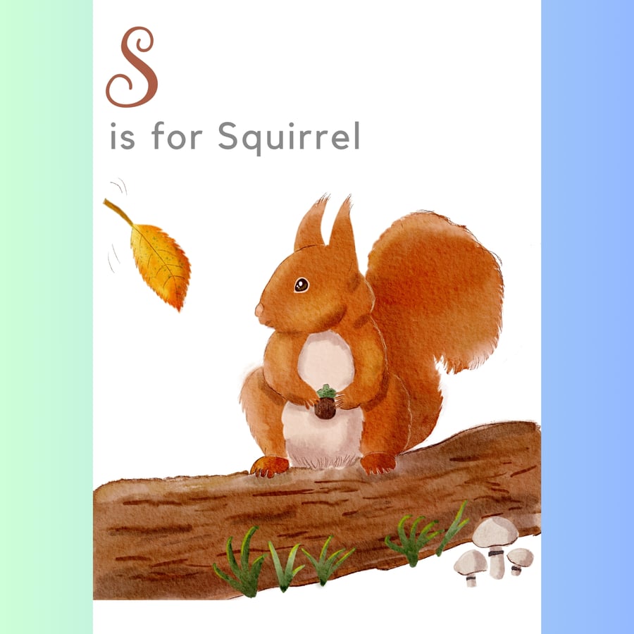 S is for Squirrel Personalised Alphabet Nursery Wall Art Childrens Print