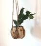 Hanging Cactus Planter - Image 5