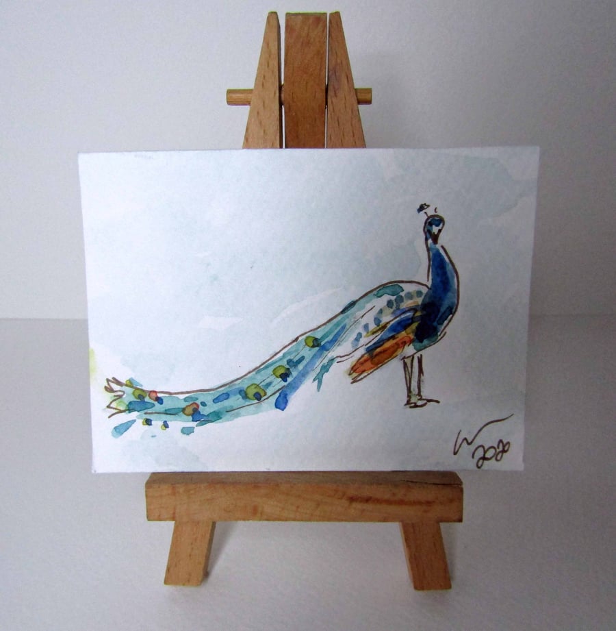 ACEO Art Peacock Strut Original Watercolour & Ink Painting OOAK