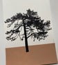 Ashdown Pine no.60, original A4 artwork, hand drawn, painted, autumn brown - Image 4