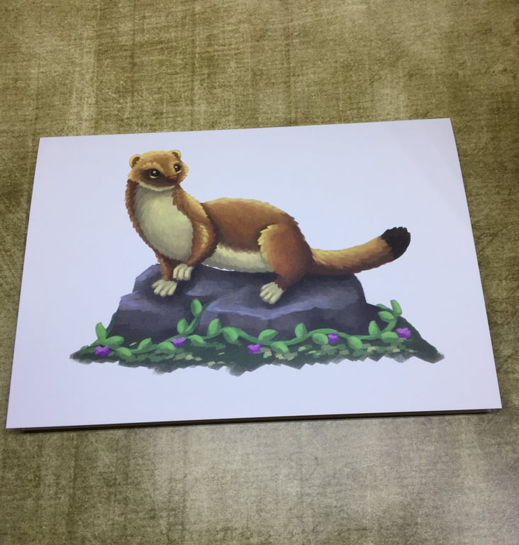 Stoat Post Card