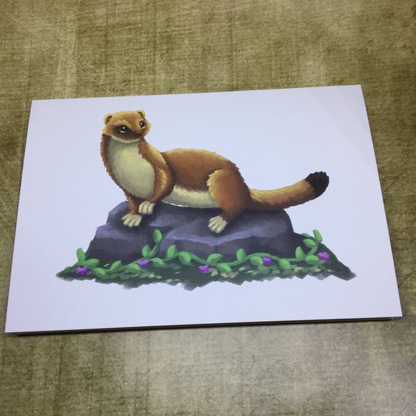 Stoat Post Card