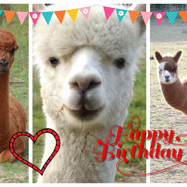 Alpaca Happy Birthday Card A5