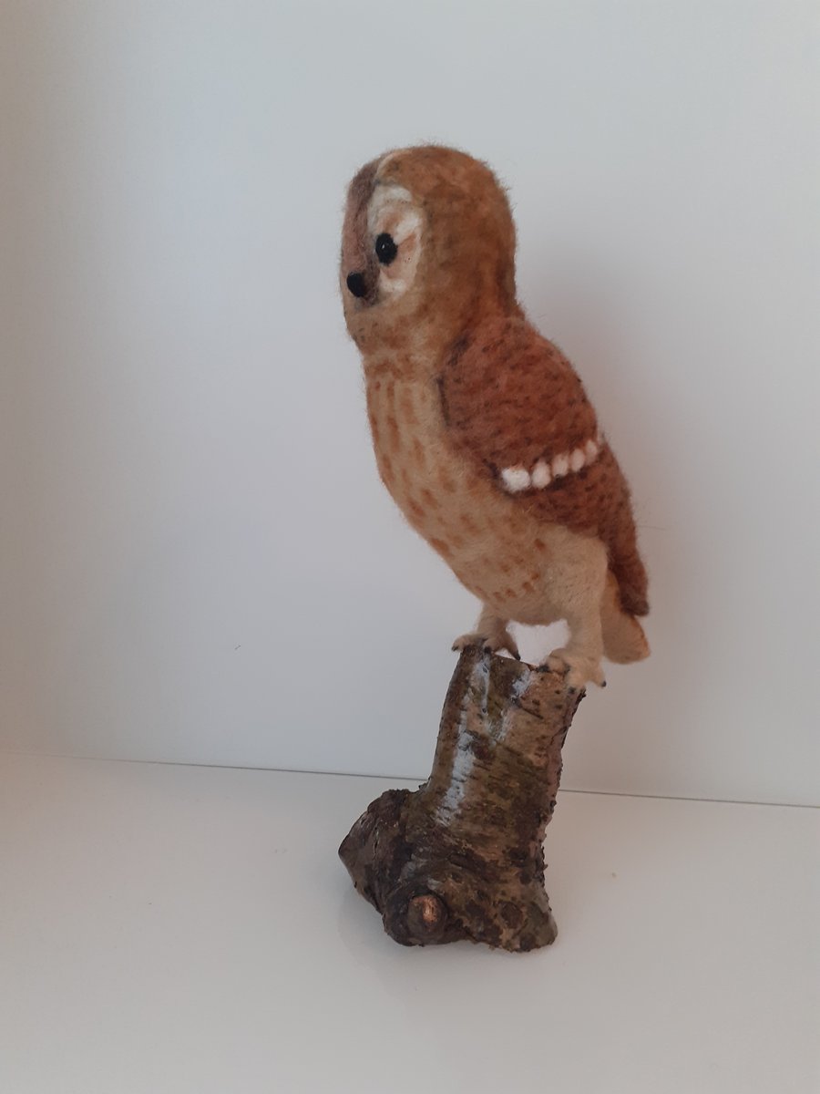 Barn Owl sculpture ooak,collectable  needle felted wool 