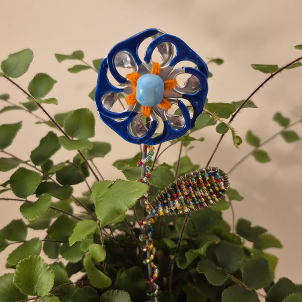 Silver, orange, blue flower plant companion perfect for pot plants