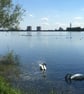 Reservoir Beauty - PRINT - Image 3