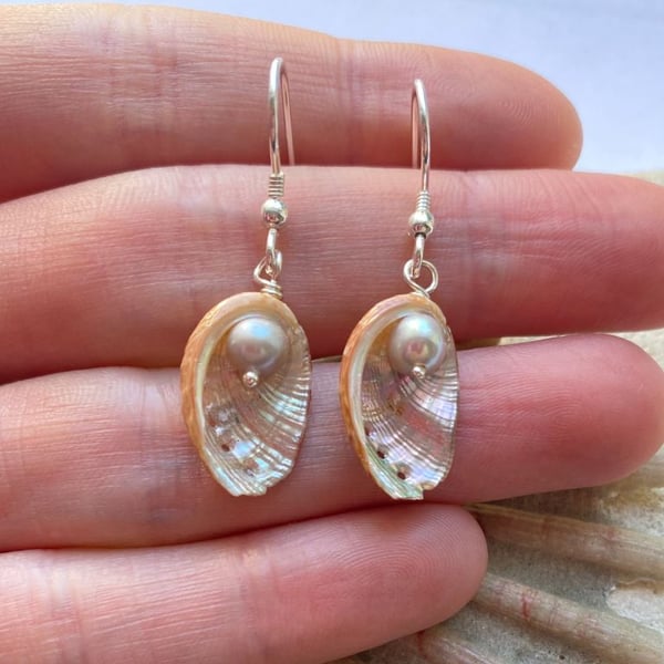 Ormer Shell Hook Earrings 