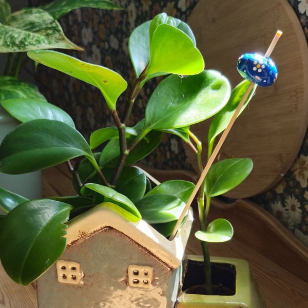 Blue Bead Plant Stake