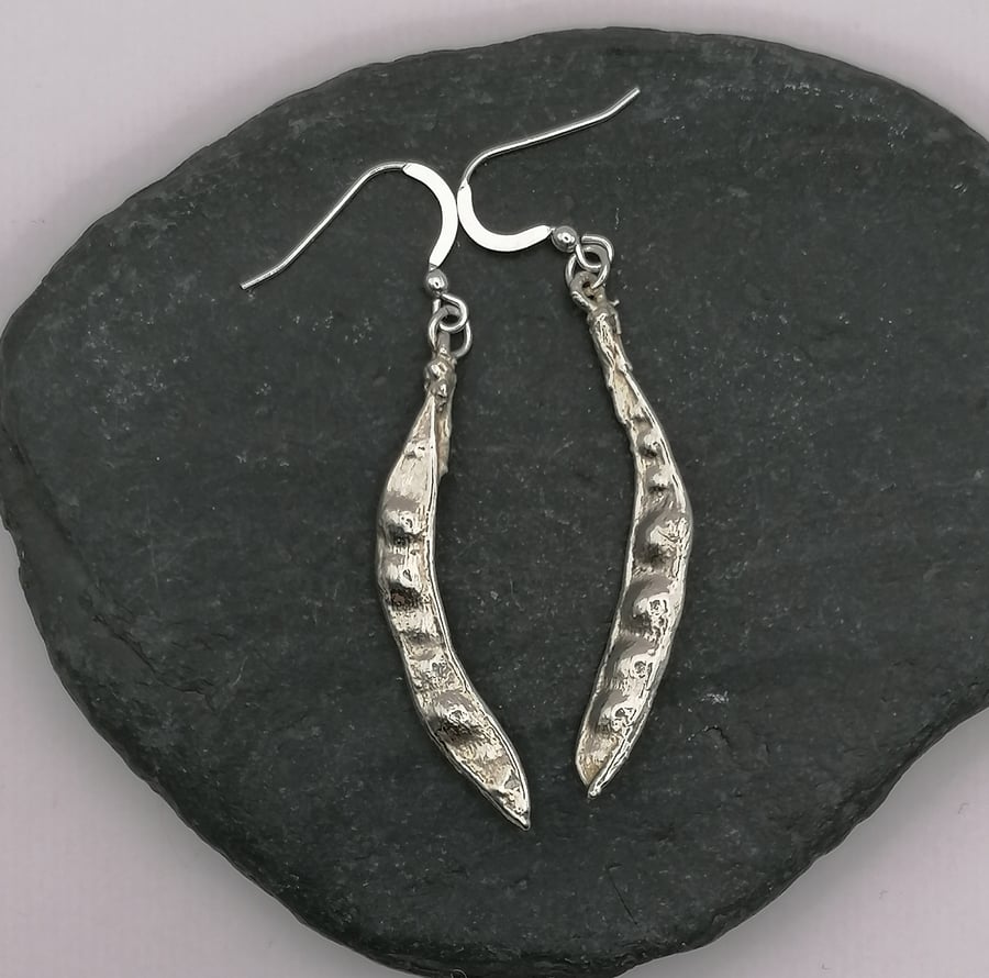 Real seed pods preserved in silver dangly earrings!
