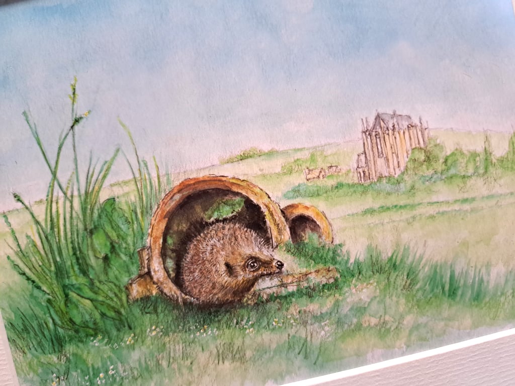 Watercolour print of a Southdowns Sussex Hedgehog
