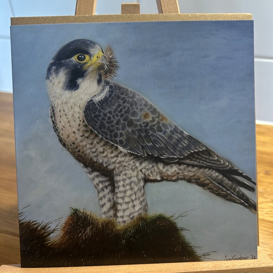6 x 6 inch Peregrine falcon pair Card