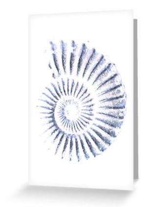 Blank art greeting card ammonite spiral note card notelet