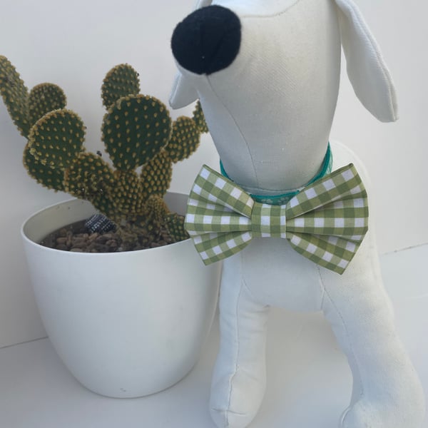 Pale Green & White Gingham Check Dog Bow Tie 
