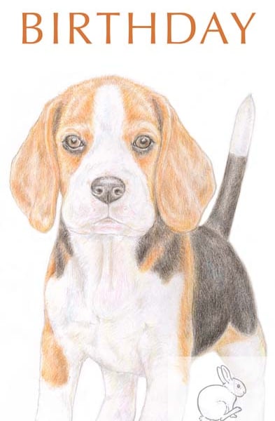 Betty the Beagle - Birthday Card