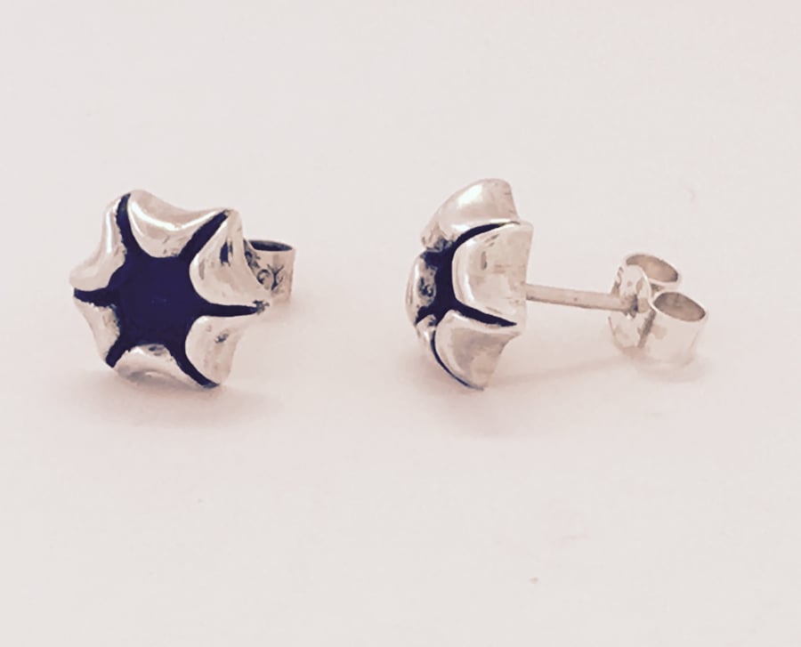 Silver and oxidised stud earrings