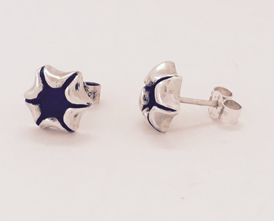 Silver and oxidised stud earrings