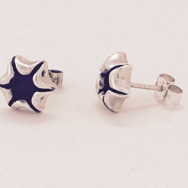 Silver and oxidised stud earrings