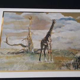 Giraffe Blank Greeting Card - Artwork By Pollyanna Pickering