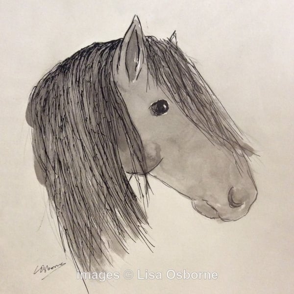 William  - print from drawing of horse.