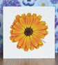 Marigold Blank Floral Card