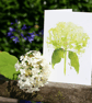 Hydrangea card - Image 2