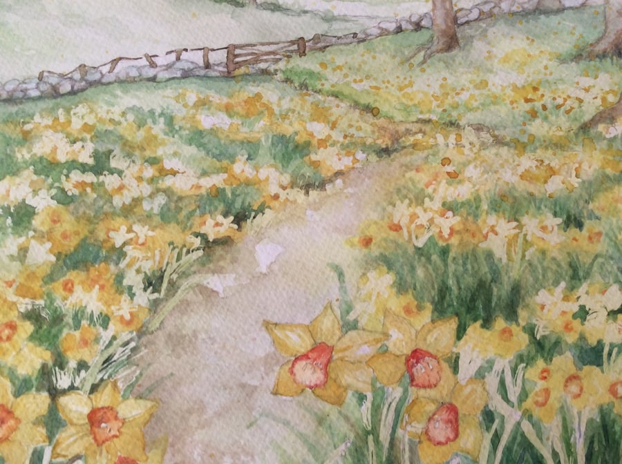 Original watercolour painting of daffodils in field
