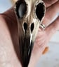 Corvid Skull - ceramic decoration - Image 3