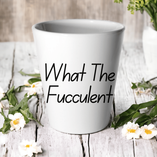 What The Fucculent Plant Pot -Succulent Cactus Flower Pot 