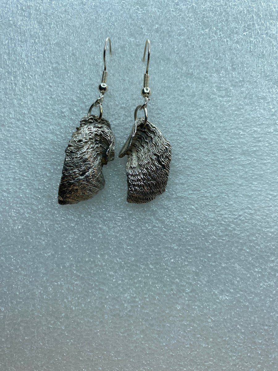 Silver seashell earrings, fine silver electroform 364