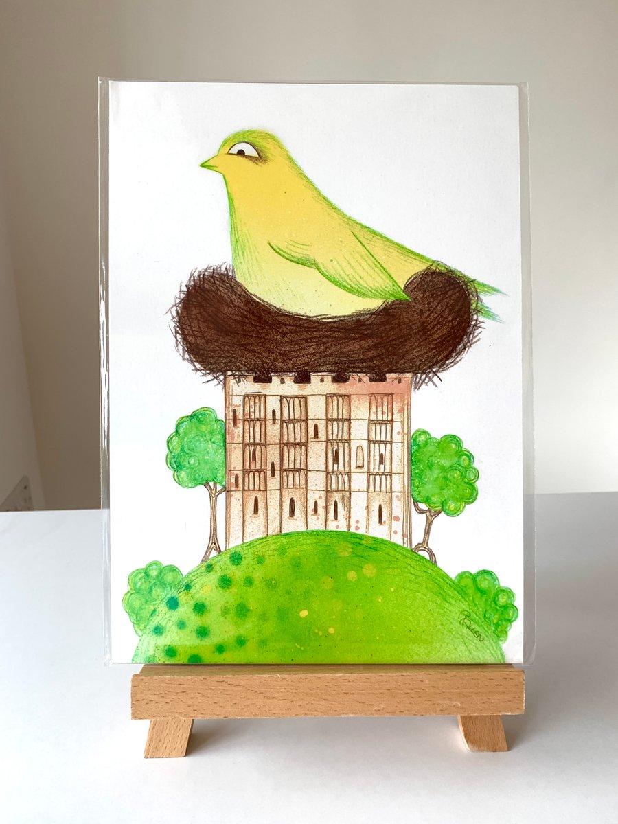 Good place to nest, canary Norwich Castle cartoon print