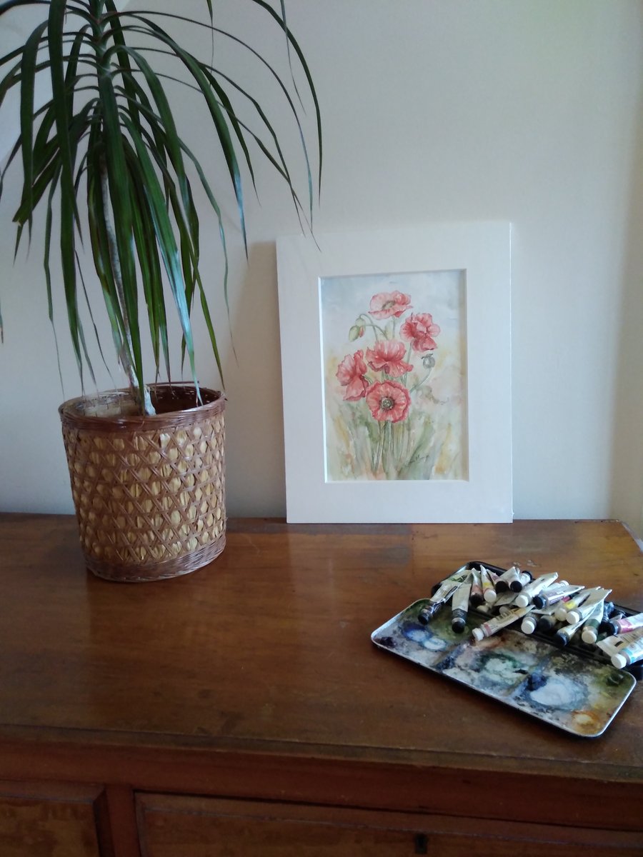 Red poppies in Norfolk original watercolour painting