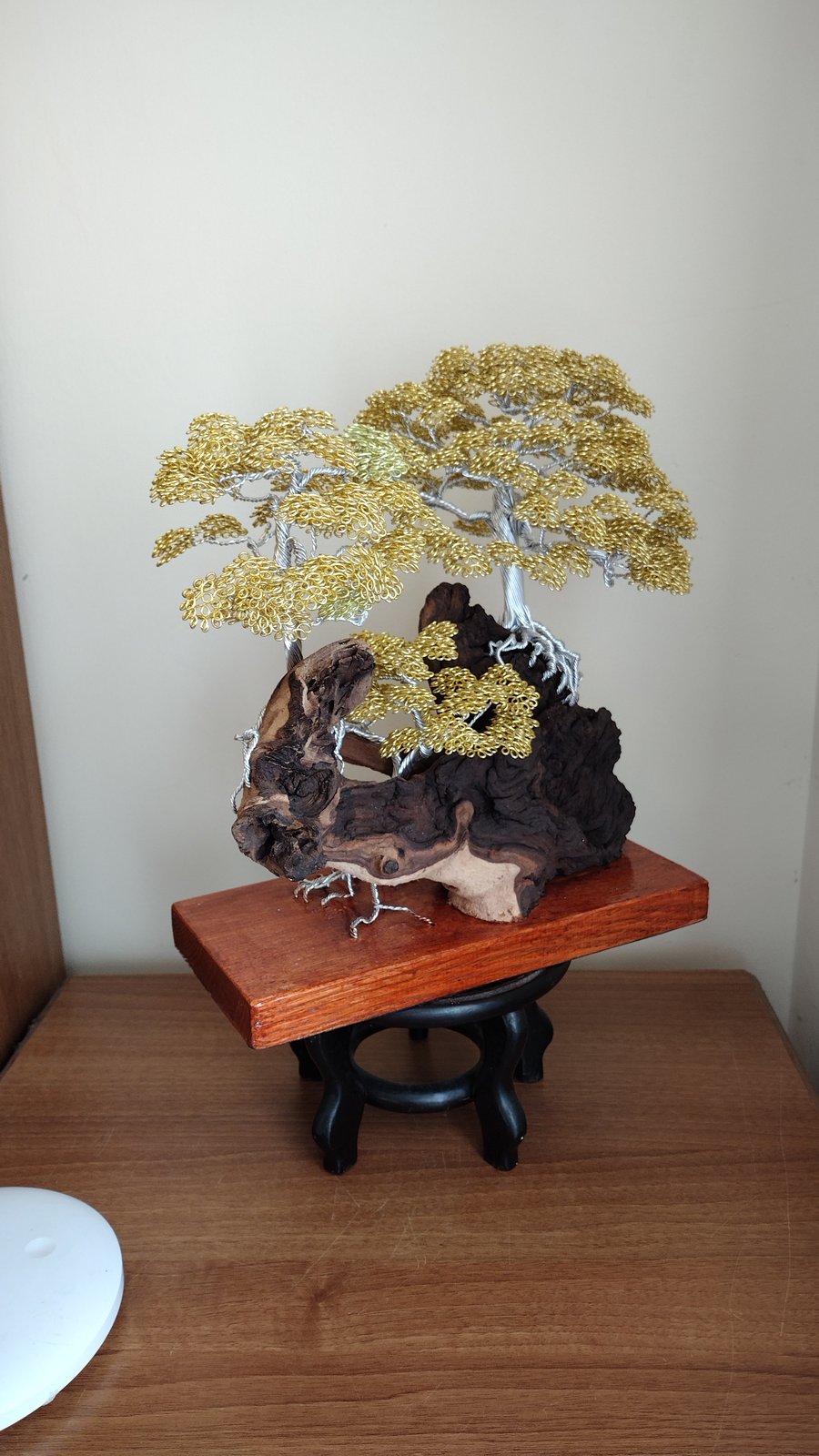 The three old bonsai trees 