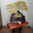 The three old bonsai trees 