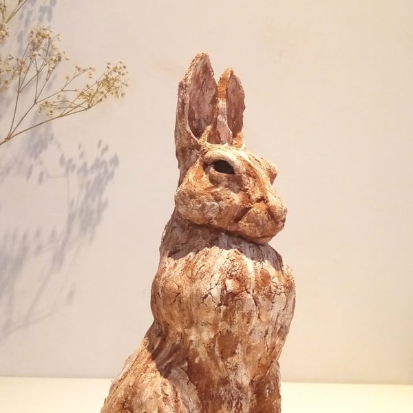 Sitting hare