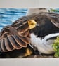 Under Mother's Wing Photo Print Size 20cm x 30cm (8" x 12") - Image 1