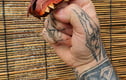 Dragon & Wyvern Puppets