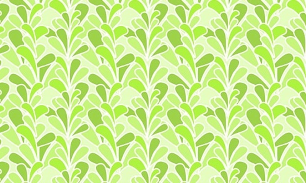 Holly, Moss and Myrtle