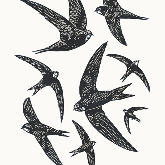 Swifts A3 poster-print