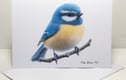British Birds - Cards, Mugs & Travel Mugs