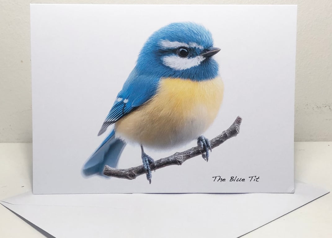 The Blue Tit -  5 x 7in Greeting Card and Envelope: Birthday or Plain