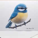 The Blue Tit -  5 x 7in Greeting Card and Envelope: Birthday or Plain