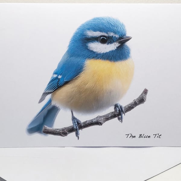 The Blue Tit -  5 x 7in Greeting Card and Envelope: Birthday or Plain