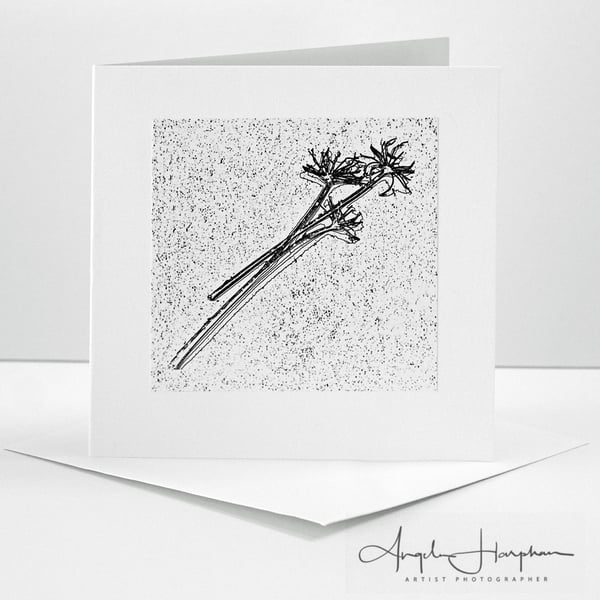 Square Blank Card - Winter White Hedge Parsley