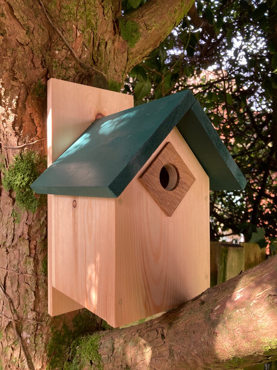 Deluxe apex bird box 