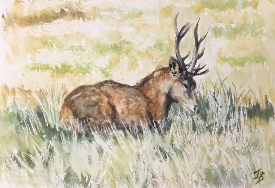 Elegant giclee print of stag ‘At Rest’