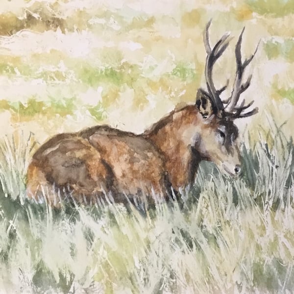 Elegant giclee print of stag ‘At Rest’