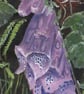  ORIGINAL - Foxglove - Image 5