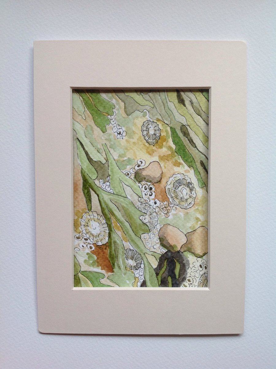 Original watercolour 'Seaweed and Shells' postcard