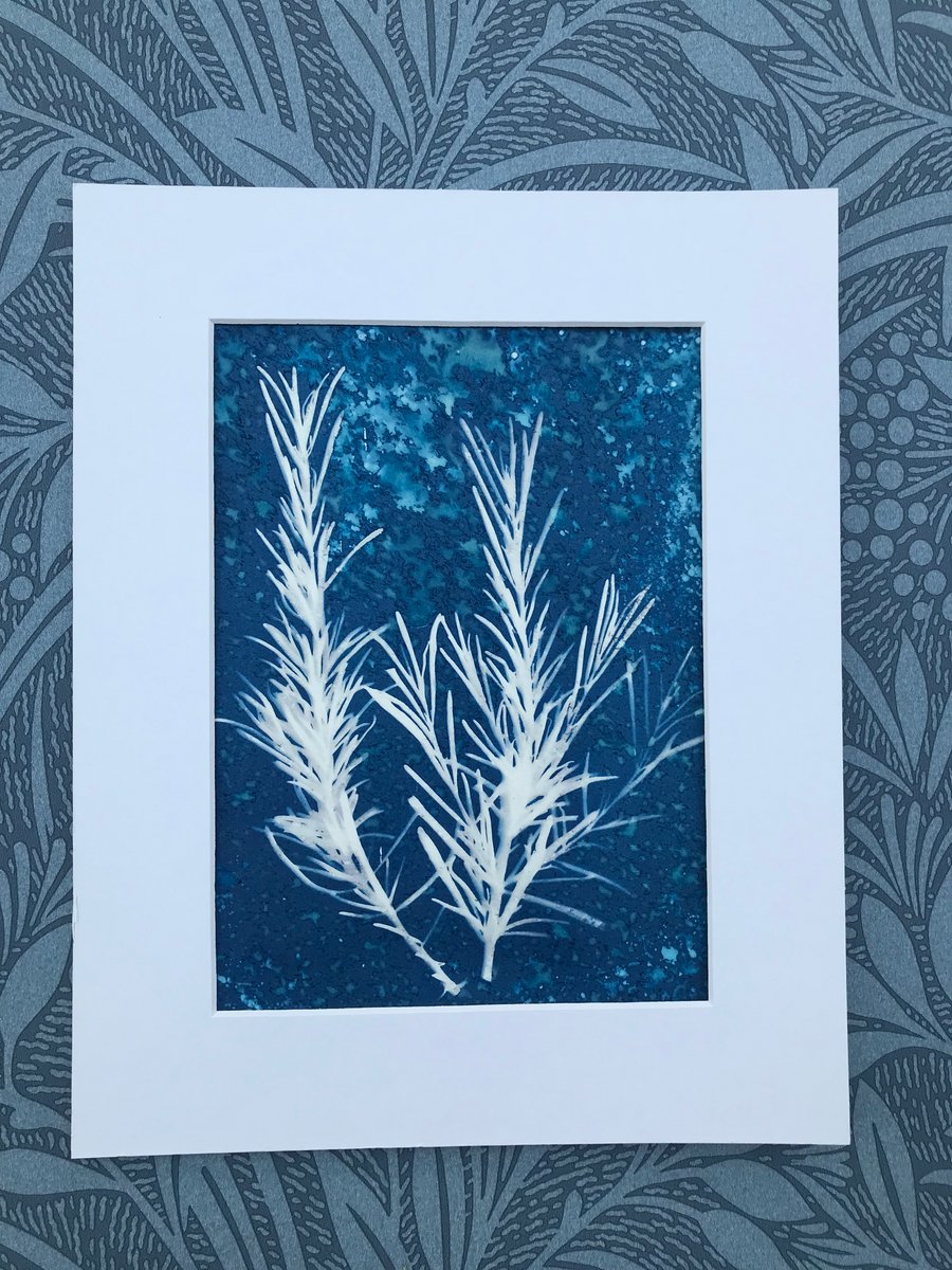 Original Cyanotype Gift, Artful Aromatics- Rosemary-Framed or Mounted